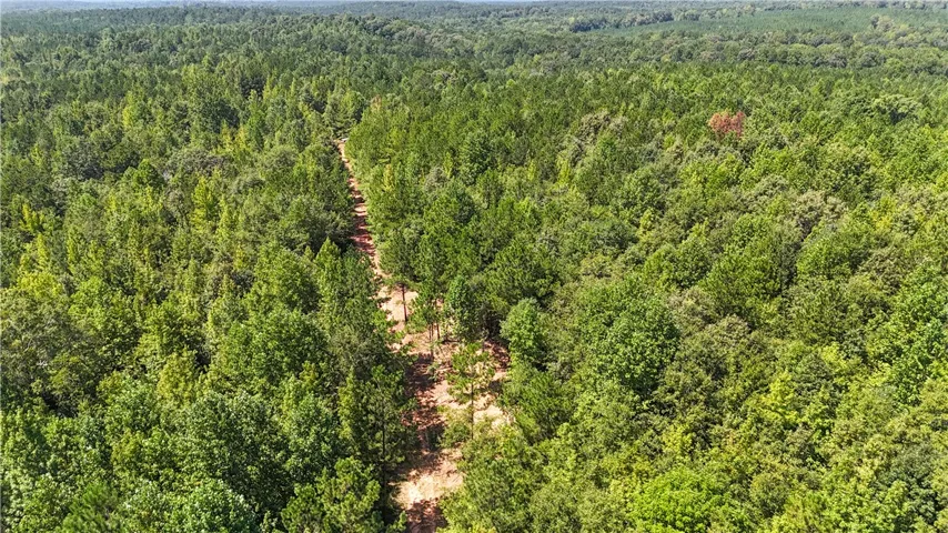 An aerial perspective reveals a private dirt road winding through dense, mature woodland.