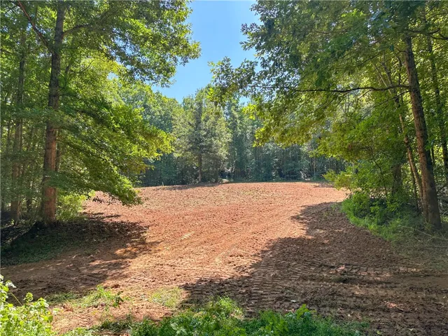 Mature trees frame a cleared building site prepared for a new home construction.