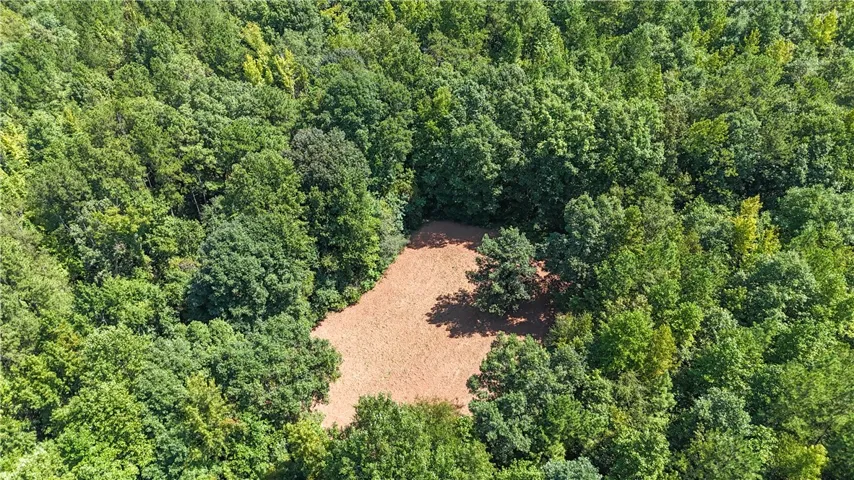 A cleared building site sits nestled deep within dense mature woods.