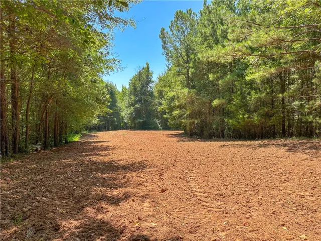 Mature trees frame a cleared red-dirt clearing under clear blue skies.