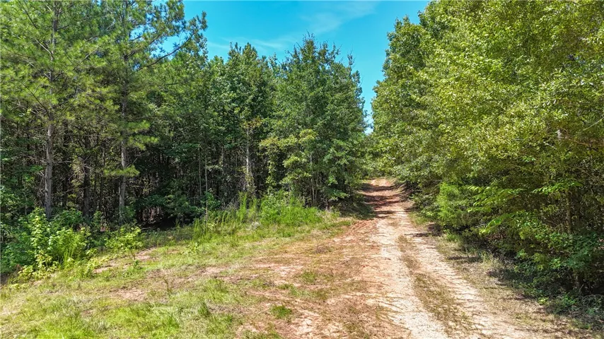 Mature woodlands and a clear path offer endless potential for this spacious acreage.