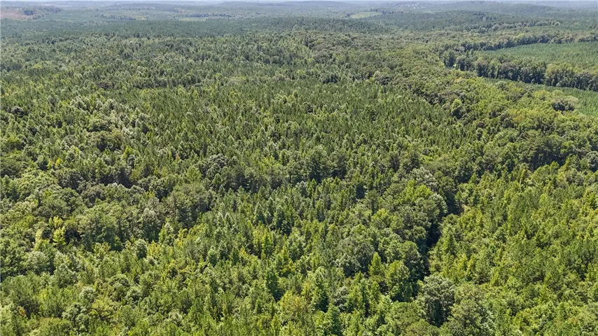 Mature woodlands stretch across the rolling landscape of this expansive acreage.