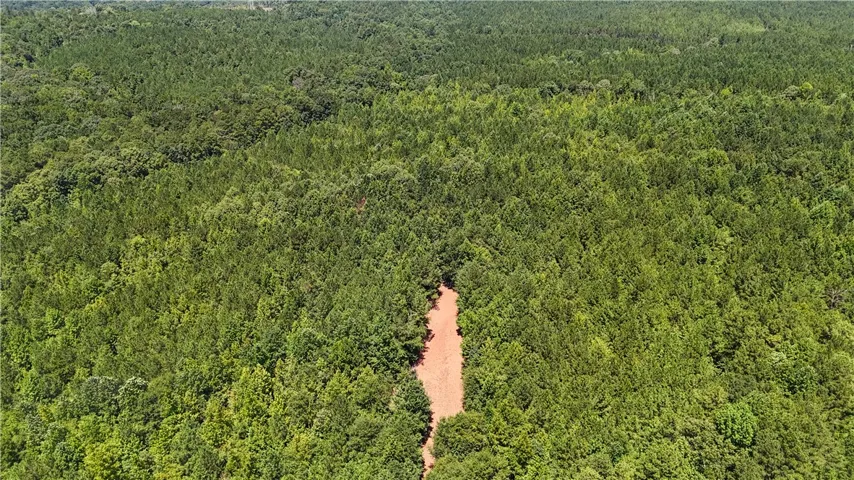 A dense canopy of mature trees blankets this private acreage.