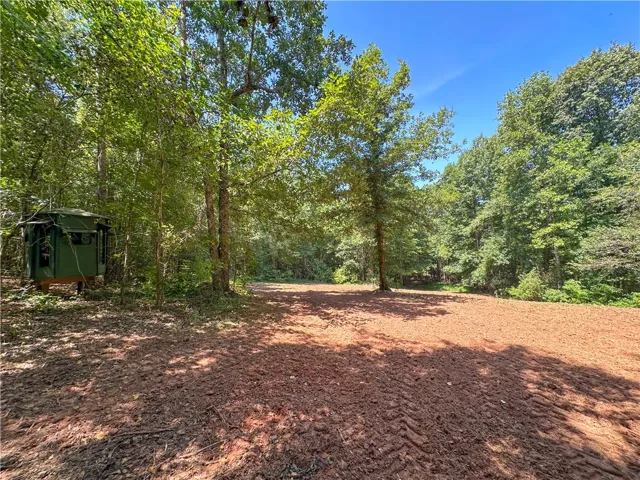 Mature woodlands frame a cleared earthen clearing under a bright blue sky.