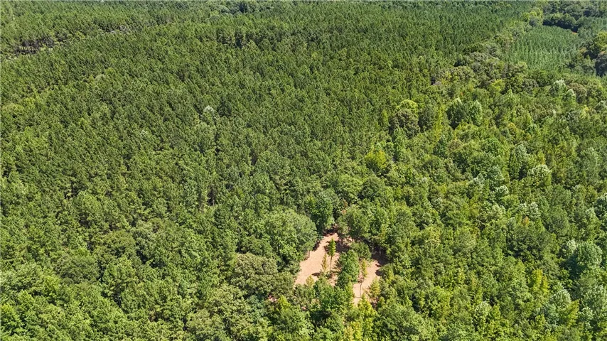 Mature woodlands envelope a cleared building site, offering ultimate privacy and a serene natural escape.