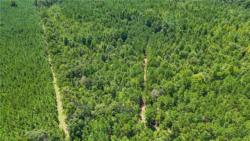 Mature woodlands blanket this expansive acreage, offering privacy and natural beauty from above.