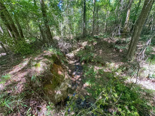 A natural stream winds through the dense forest floor of this wooded property.