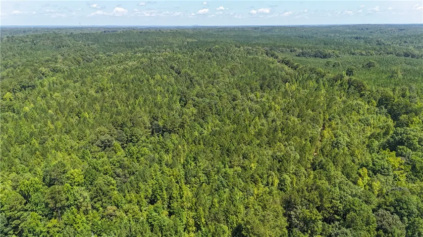 Lush woodlands stretch across the rolling landscape under a clear blue sky.