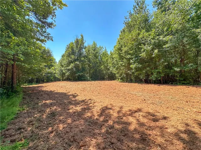 A cleared building site bordered by dense mature forest under clear blue skies.