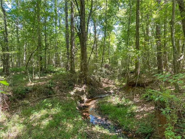 A tranquil seasonal stream winds through a dense, mature forest on this wooded property.
