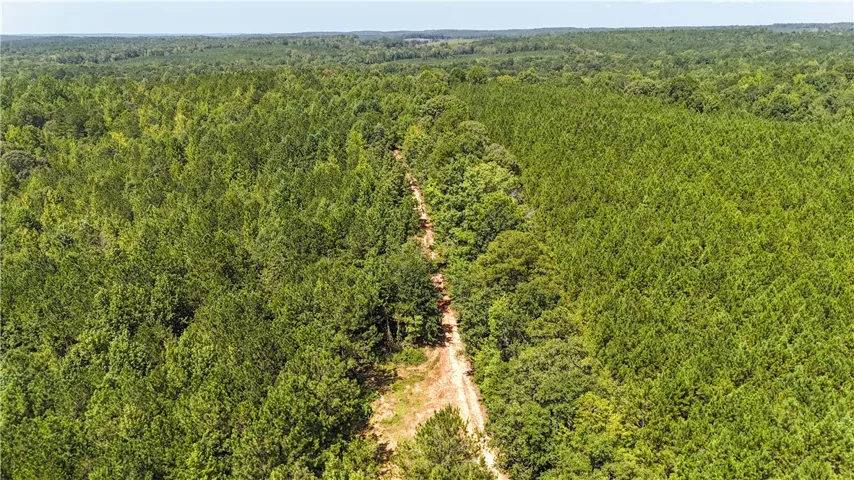 Mature woodlands flank a winding dirt trail cutting through this expansive natural acreage.