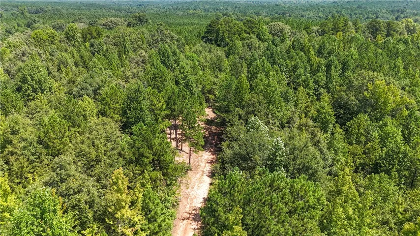 Mature woodlands envelope a cleared dirt pathway leading through the expansive acreage.