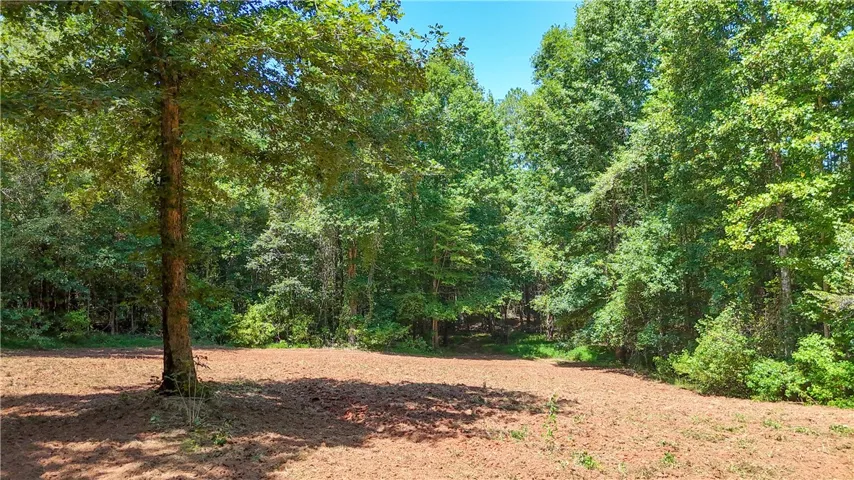 Mature trees frame a cleared red-dirt clearing on this quiet property.