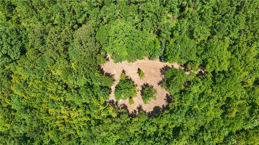 A cleared building site nestled deep within dense mature woods.