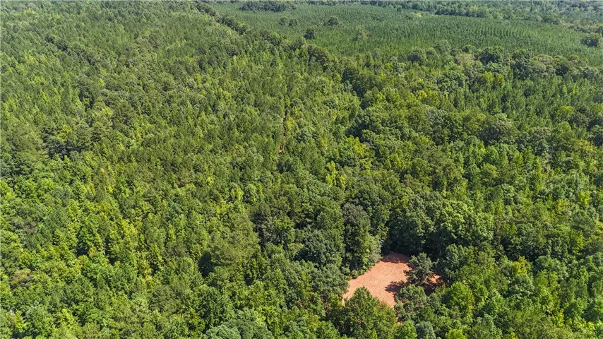 Mature woodlands stretch across this vast acreage, offering privacy and natural beauty.