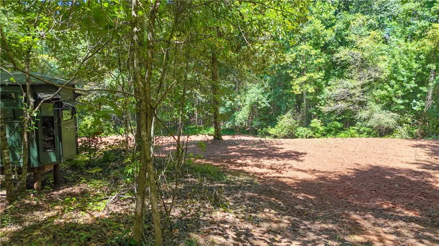 Mature trees frame a cleared clearing, offering a private setting surrounded by nature.