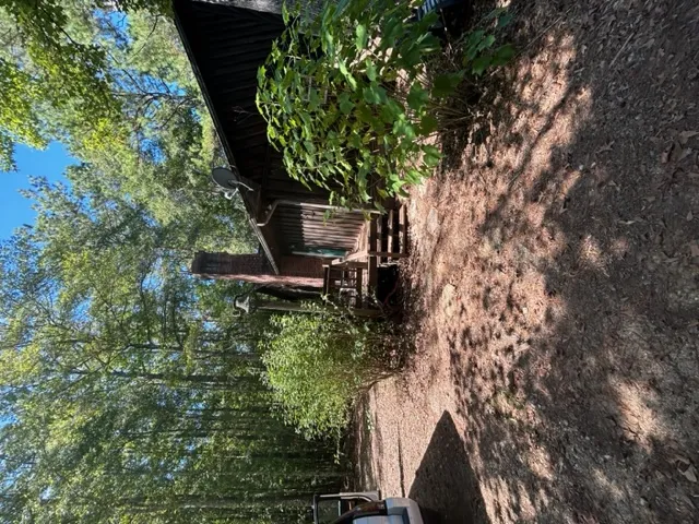 Towering trees surround a rustic wood-sided home featuring a brick chimney.