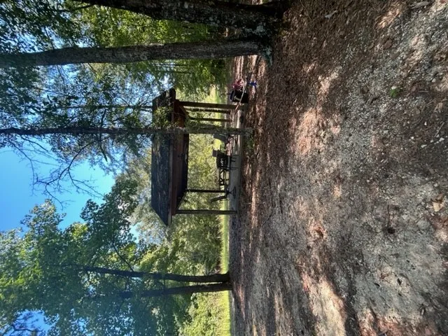Mature trees frame a rustic sheltered pavilion nestled on the wooded grounds.