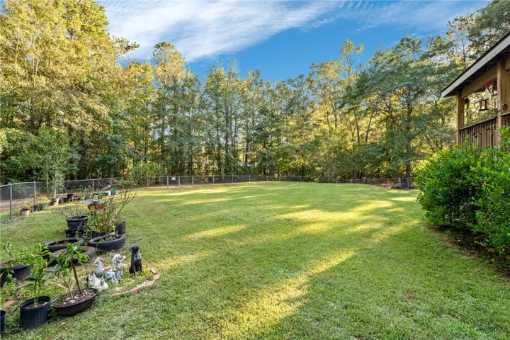 Towering trees line the perimeter of a spacious grassy lawn enclosed by fencing.