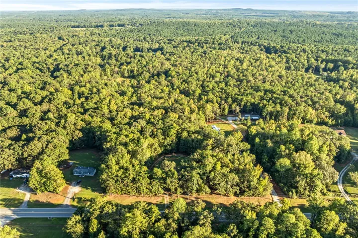 A vast expanse of mature trees stretches across this serene countryside property.