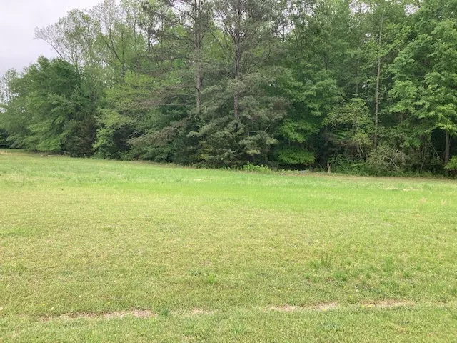 0 Plantation Way, Auburn, Alabama 36832