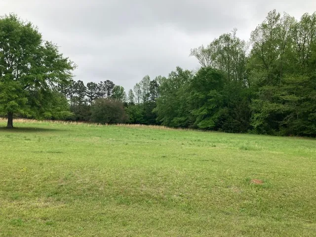 0 Plantation Way, Auburn, Alabama 36832