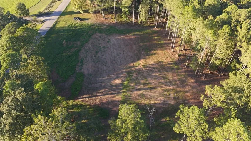 Mature trees frame a cleared building site bordering a quiet paved road.