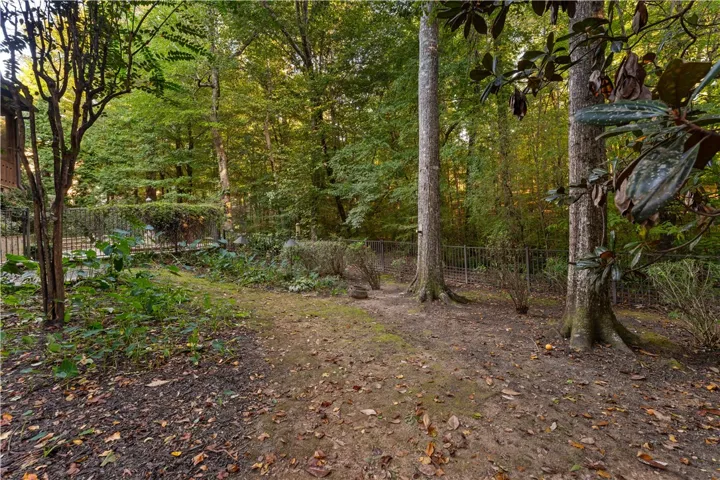Mature trees frame a peaceful wooded backyard bordered by metal fencing.
