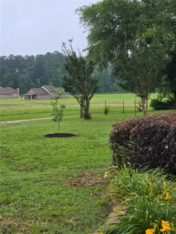 Mature trees and a sprawling green lawn define this serene countryside landscape.