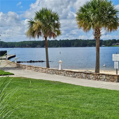Lush green grass and tall palm trees frame serene, open views of the sparkling lake.