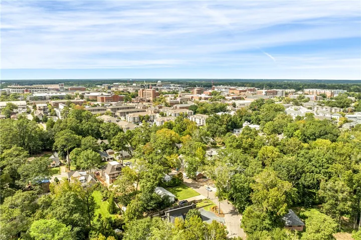 Lush green treetops surround the neighborhood, framing a distant city skyline under open blue skies.
