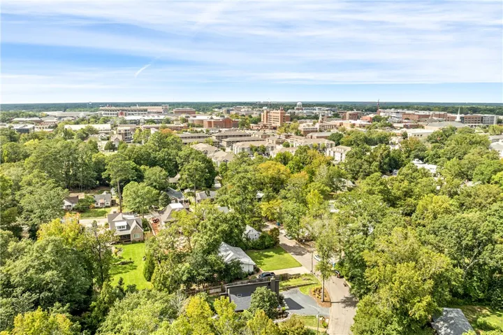 Lush green treetops surround peaceful neighborhood homes beneath a vast blue sky.