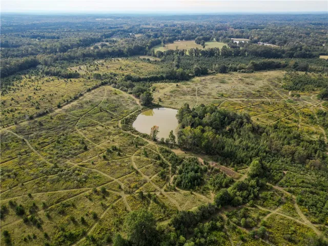An aerial perspective showcases a tranquil private pond nestled amidst vast, rolling meadows and mature woodlands.