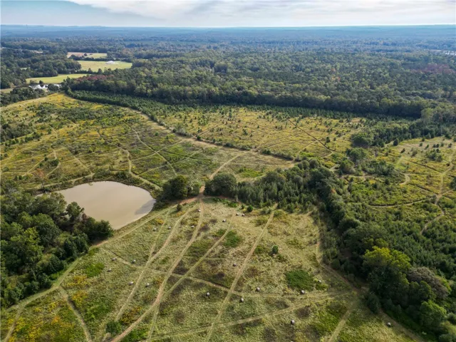Rolling green acreage unfolds around a private pond under expansive skies.