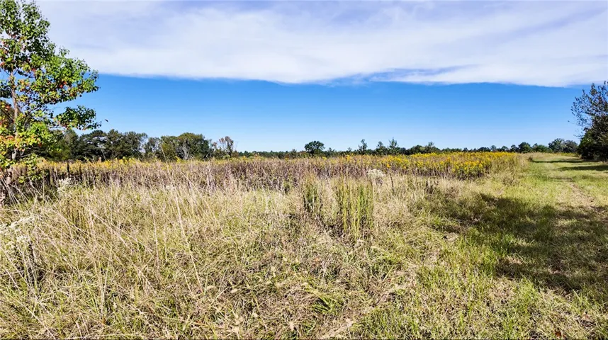 A spacious and open grassy field is bordered by mature trees under clear blue skies.