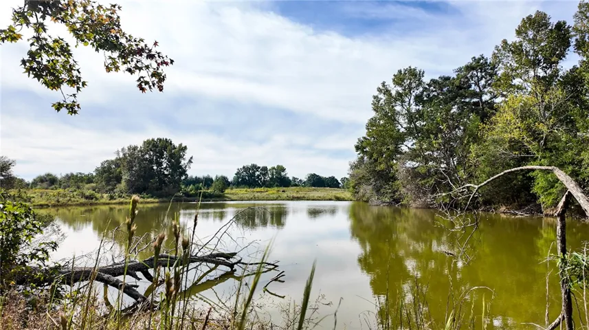 Mature trees frame a serene pond under blue skies on this expansive acreage.
