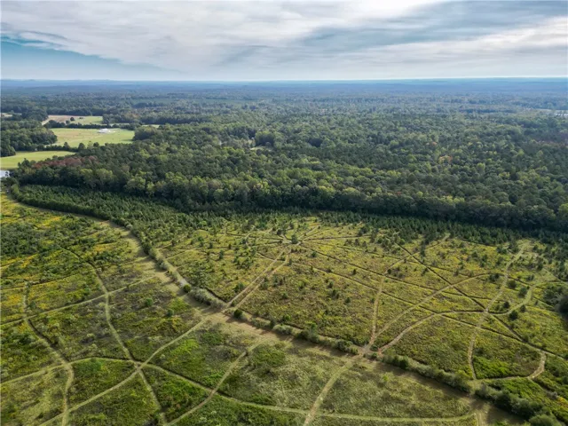 Lush green fields meet a dense forest line under a soft overcast sky.