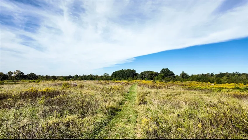 An open grassy trail winds through a meadow framed by mature woodland trees.