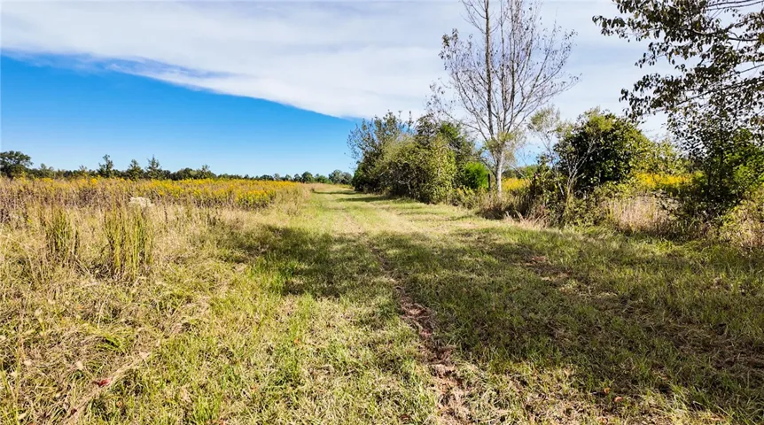 Mature trees and open grassy fields define this expansive rural acreage under blue skies.