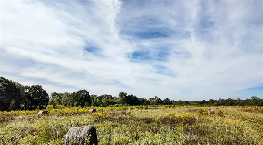 Mature trees frame a wide open meadow under vast blue skies.