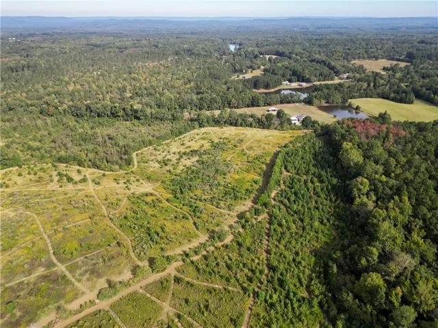Rolling hills and mature forests frame this expansive acreage under clear blue skies.
