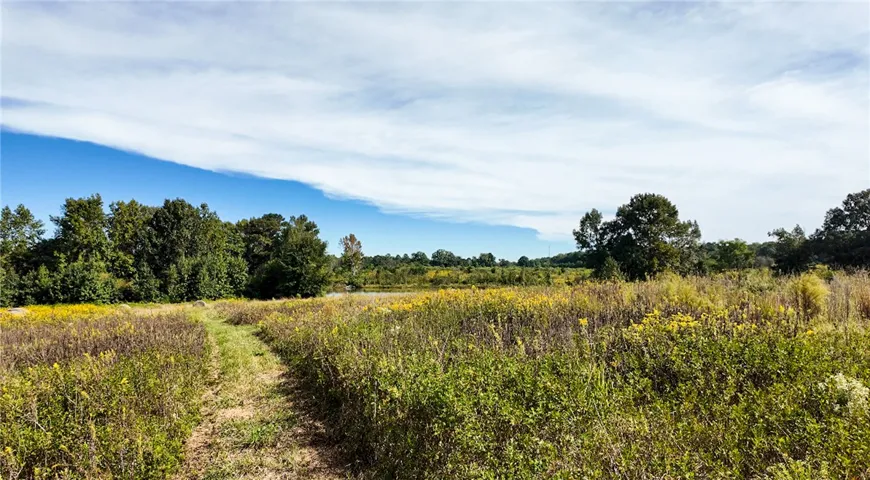Wildflowers and a grassy path wind through this expansive open meadow under broad skies.