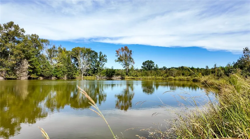 Mature trees line the quiet shores of this scenic, reflective pond.