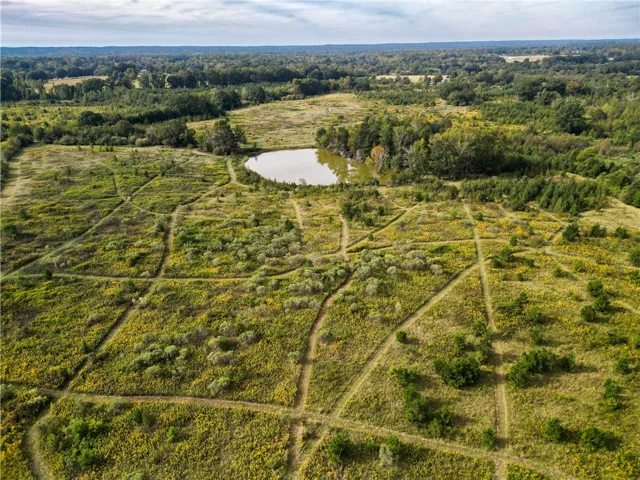 Rolling green acreage surrounds a tranquil pond bordered by mature trees under expansive skies.