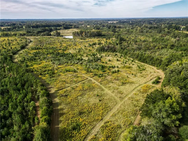 Lush rolling acreage with mowed trails is bordered by mature woodlands and a distant pond.