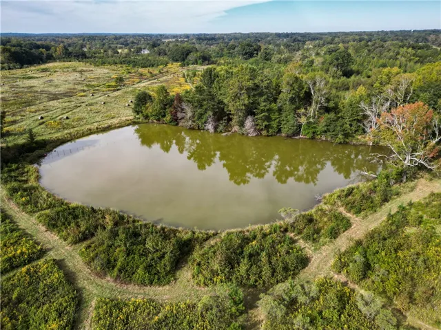 An aerial view showcases a peaceful pond bordered by mature trees and rolling meadows.