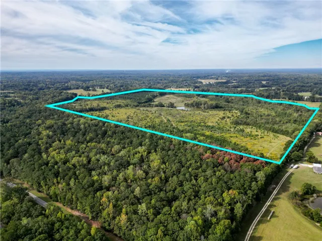A vast expanse of rolling green pasture and dense woodland stretches beneath a bright sky.