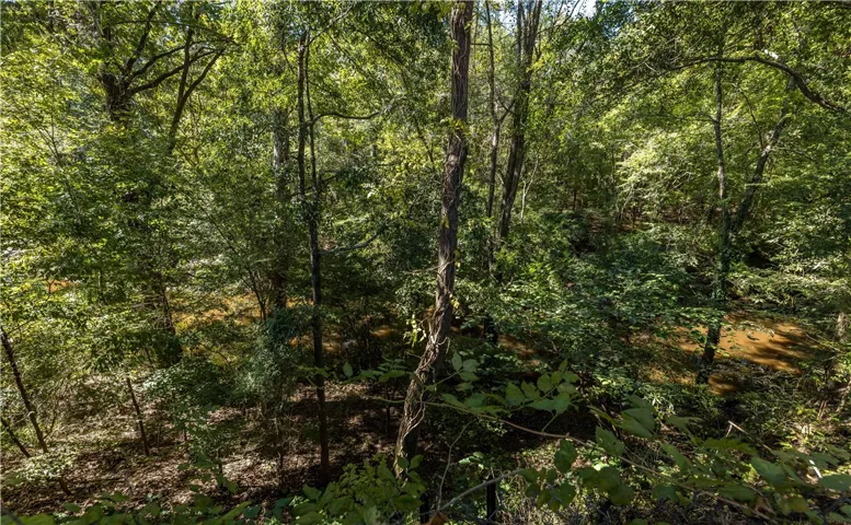 Mature trees frame a quiet creek winding along the property edge.