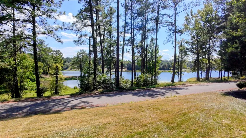 Towering pines frame peaceful water views beyond the paved roadway bordering the property.