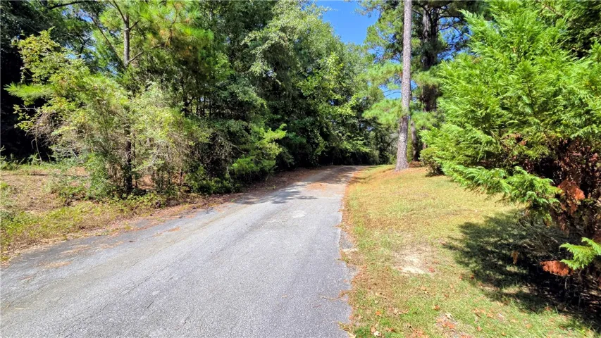 A paved path winds through mature trees and lush greenery under a clear blue sky.